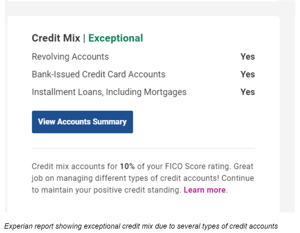 Experian Report Showing Exceptional Credit Mix Due To Several Types Of Credit Accounts