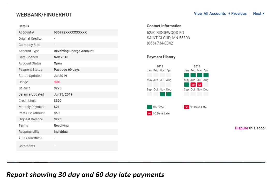 Report Showing 30 Day And 60 Day Late Payments