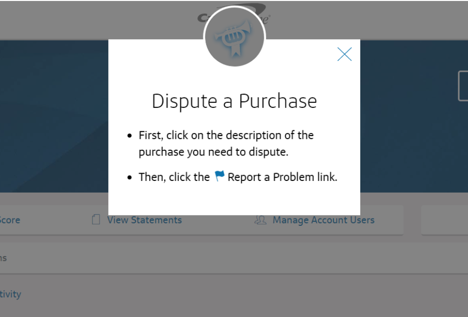 You Can Easily Dispute Fraudulent Purchases From Your Online Credit Card Account You Can Easily Dispute Fraudulent Purchases From Your Online Credit Card Account