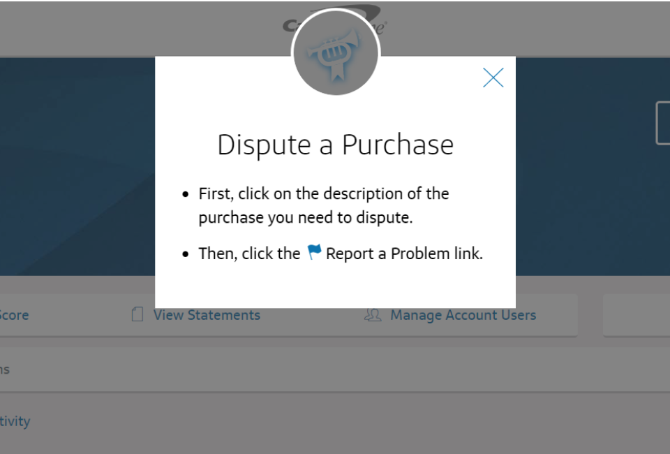 You Can Easily Dispute Fraudulent Purchases From Your Online Credit Card Account