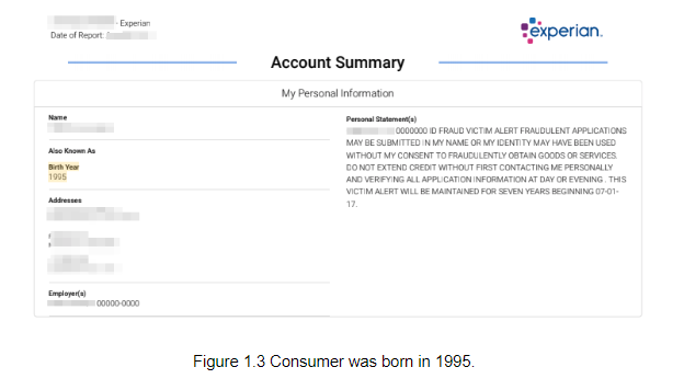 Image showing a consumer born in 1995.