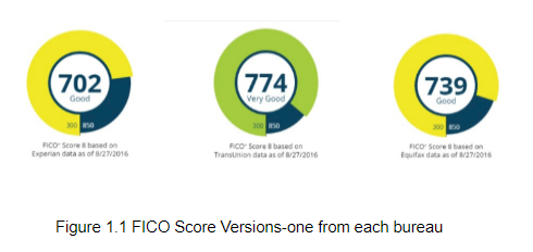 FICO Versions- one from each bureau.